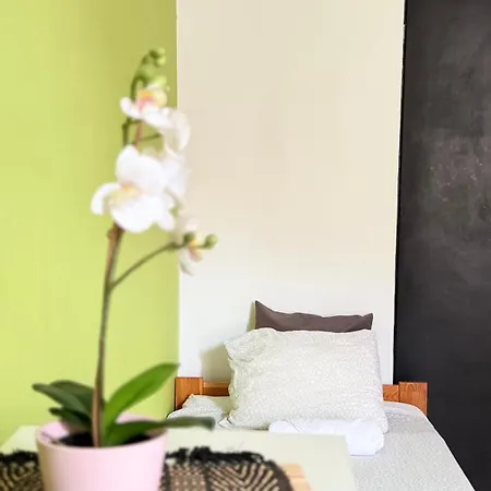 Centrum 民宿 卡托维兹