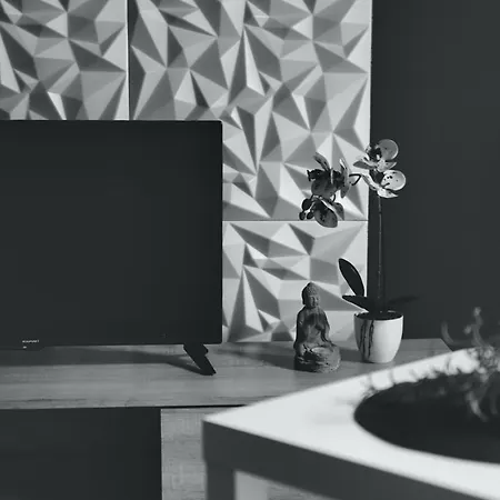 Centrum 民宿 卡托维兹