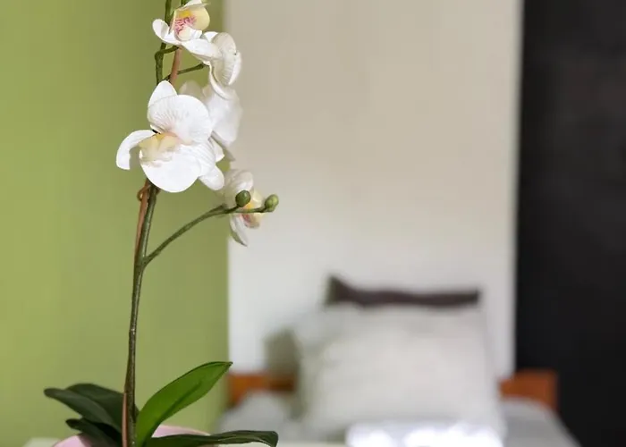 Centrum Kwatera prywatna